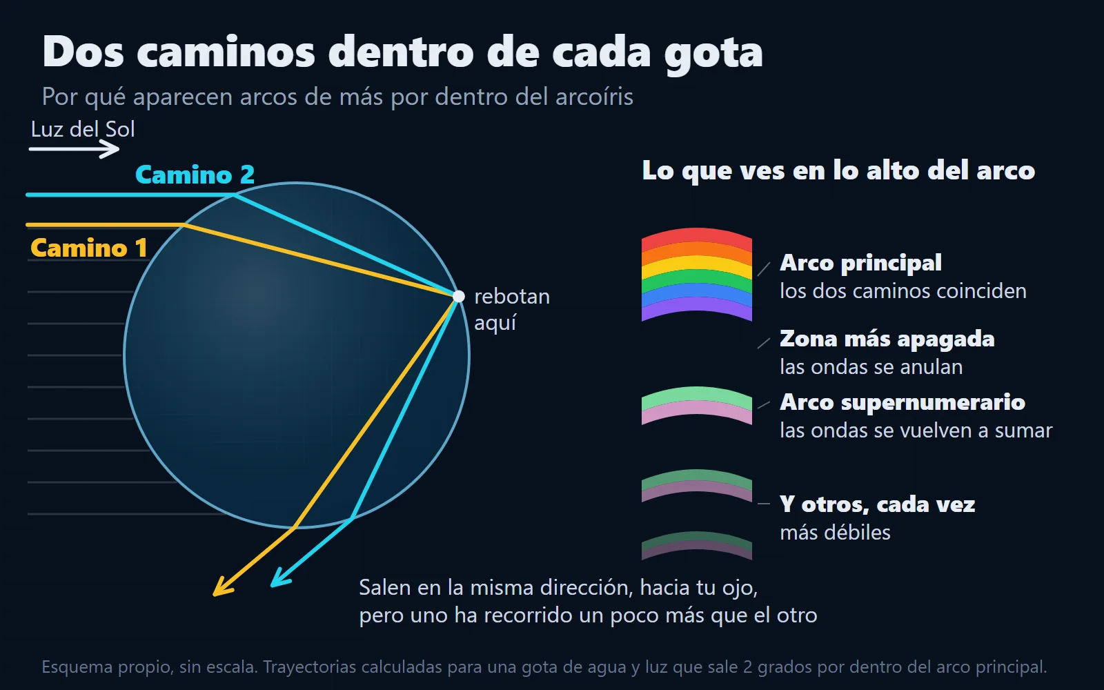 Esquema de una gota de lluvia: dos rayos de sol entran a distinta altura, rebotan en el mismo punto del fondo y salen en la misma dirección tras recorrer distancias distintas. Al lado, las franjas de lo alto del arco: el arco principal, una zona más apagada y los arcos supernumerarios.